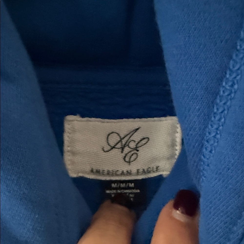 American Eagle Outfitters Blue Hoodie